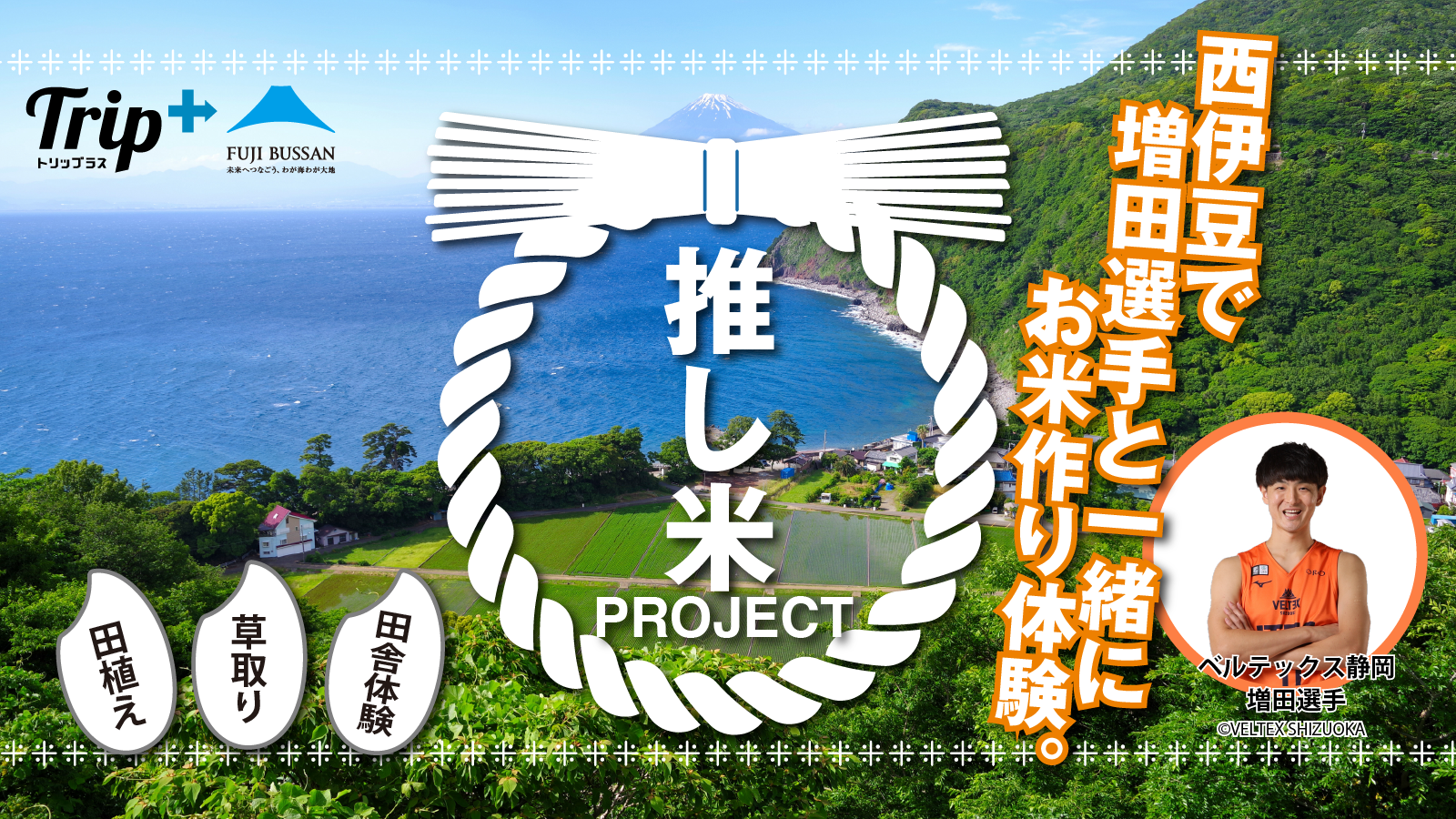 5/23更新）公認アグリツアー『西伊豆で選手と一緒に！推し米づくり